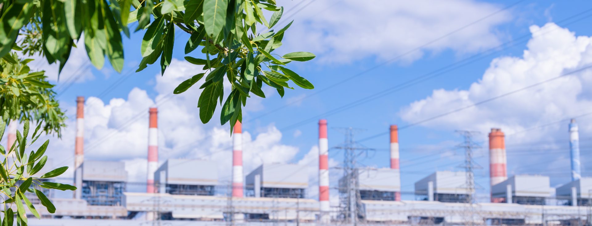 Wood Fired Carbon Capture Power Plant Image